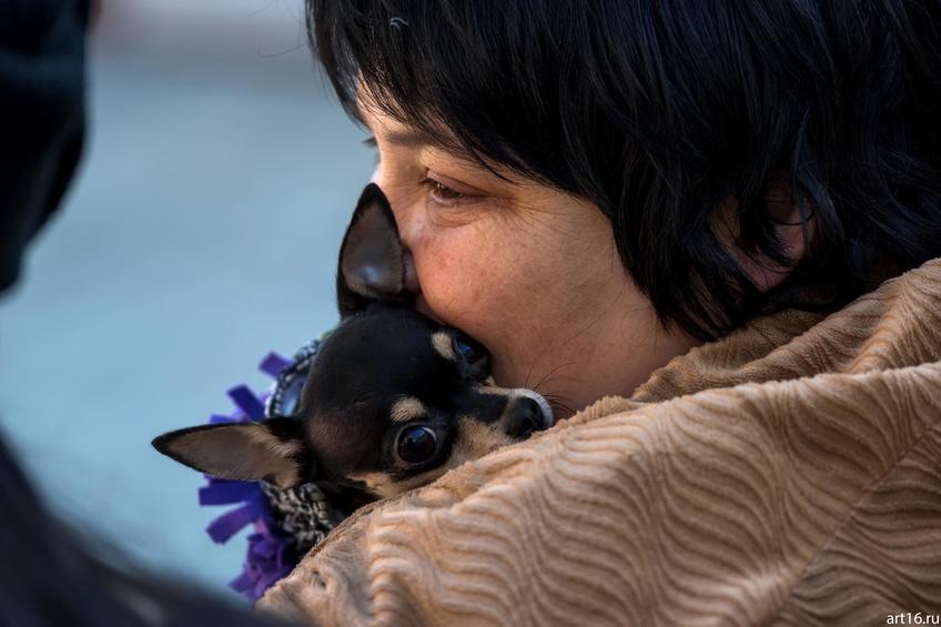 Фото №898321. Art16.ru Photo archive