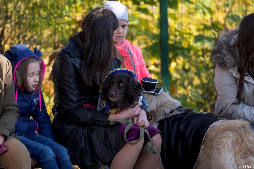 Фото №898329. Art16.ru Photo archive