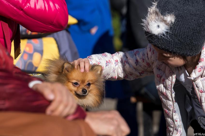 Фото №898349. Art16.ru Photo archive