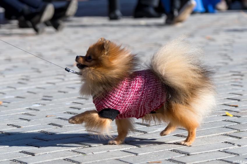 Фото №898357. Art16.ru Photo archive