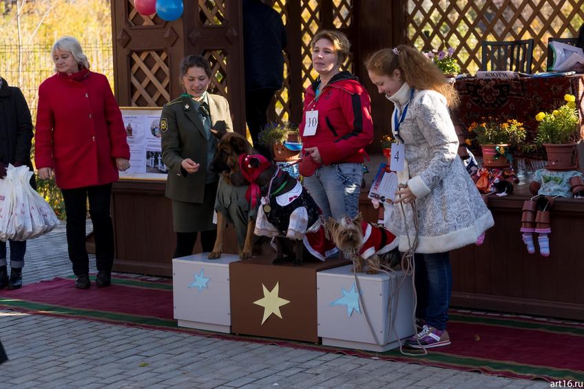 Фото №898373. Art16.ru Photo archive