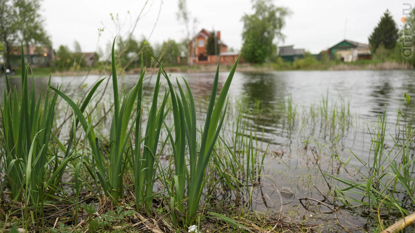 Фото №924895. Art16.ru Photo archive