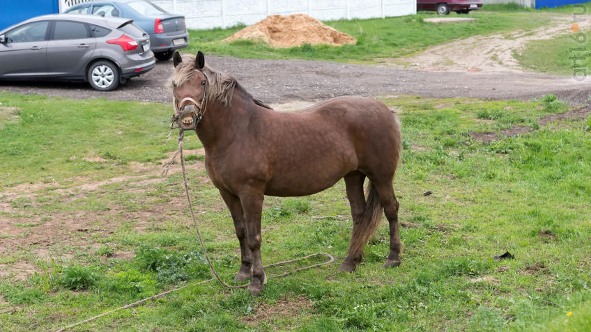 Фото №924945. Art16.ru Photo archive