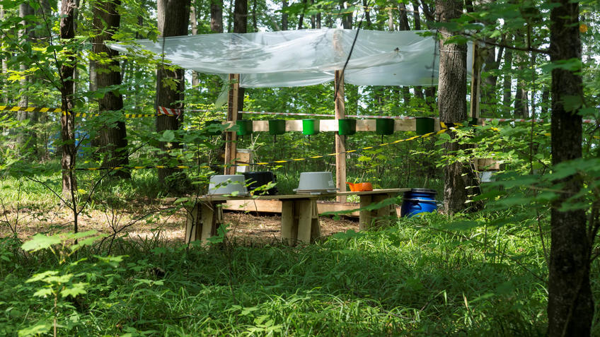 Фото №928562. Art16.ru Photo archive