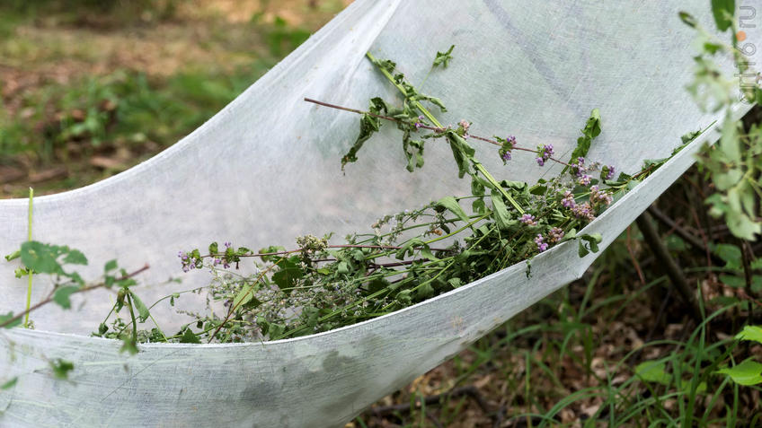 Фото №928727. Art16.ru Photo archive