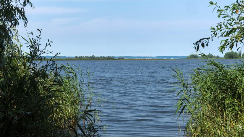 Фото №928918. Art16.ru Photo archive