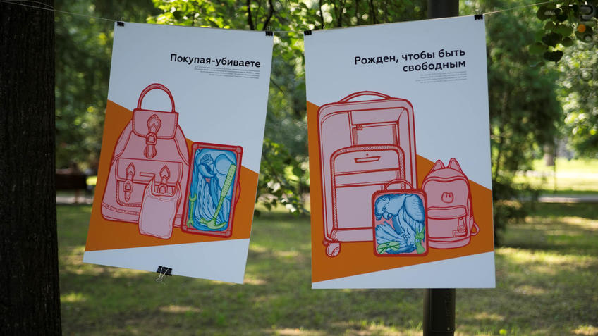 Фото №930231. Art16.ru Photo archive