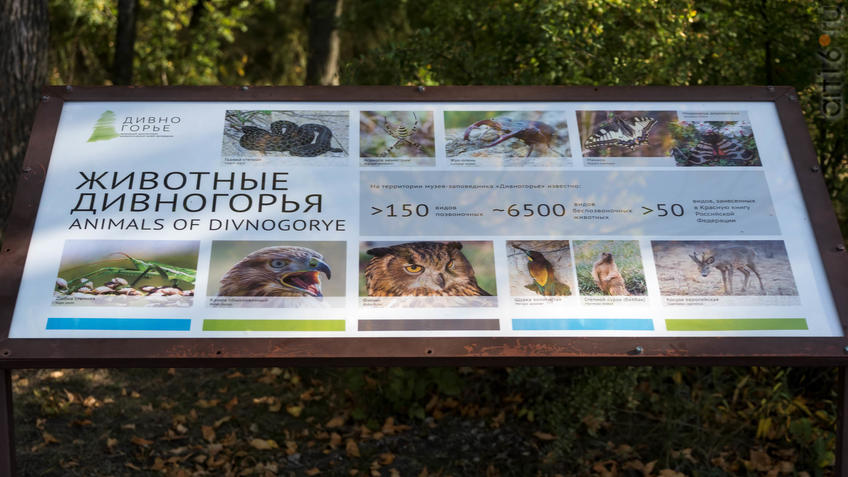Фото №935277. Информационное табло: Фауна Дивногорья