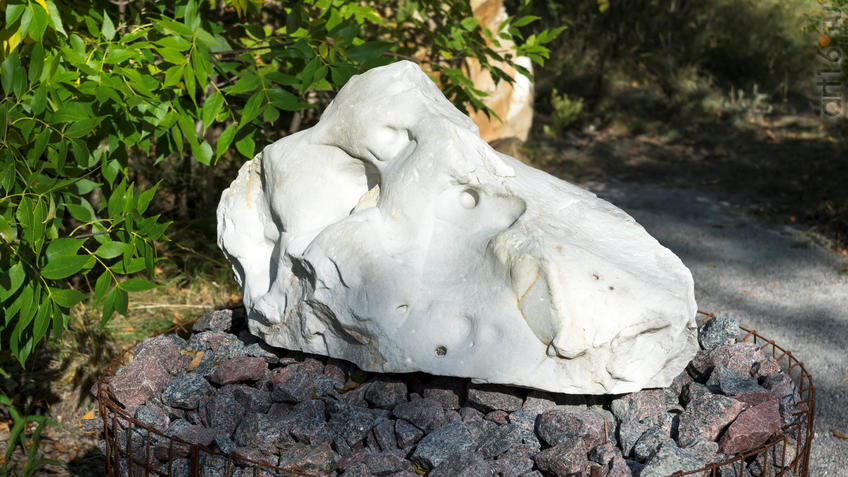 Фото №935372. Песчанник.  Фрагмент геолого-палеонтологической экспозиции