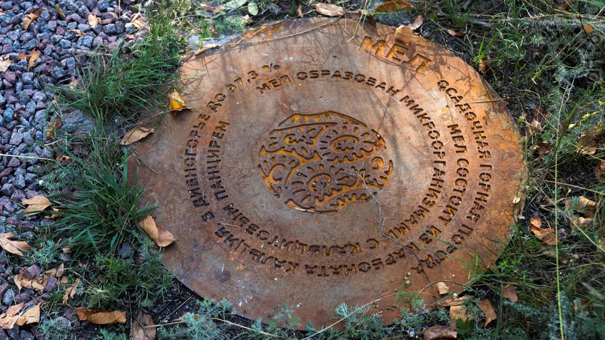 Фото №935377. Мел.  Фрагмент геолого-палеонтологической экспозиции