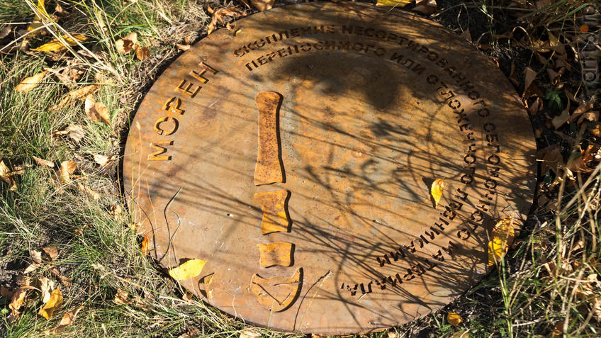 Фото №935387. Морен. Фрагмент геолого-палеонтологической экспозиции