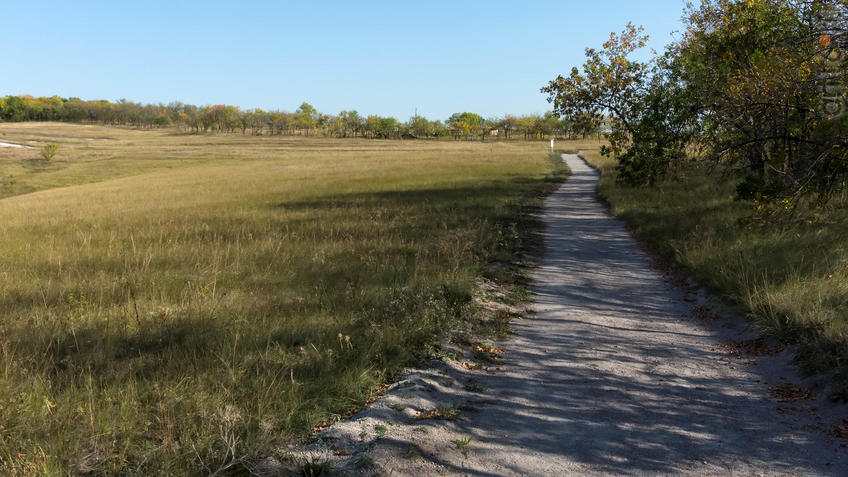 Фото №935422. Дорожка вдоль посадок к археологическому парку "От кочевий к городам"