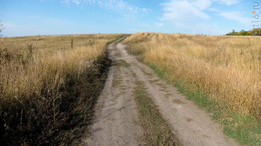 Фото №935482. Дорога через Дивногорскую степь