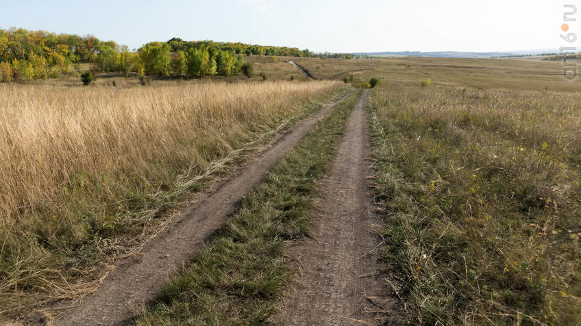 Фото №935487. Дорога через Дивногорскую степь