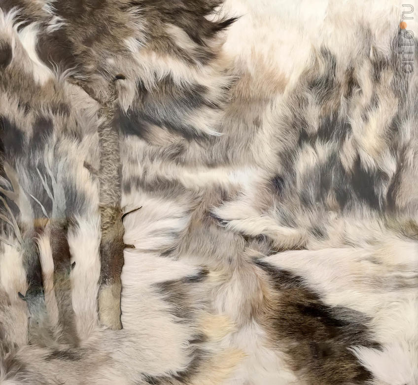 Фото №936266. Елена Шмелёва 