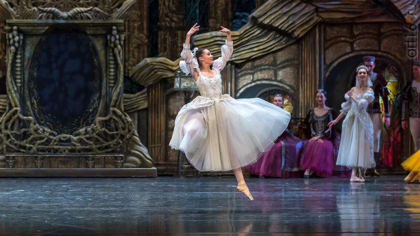 Фото №941583. Art16.ru Photo archive