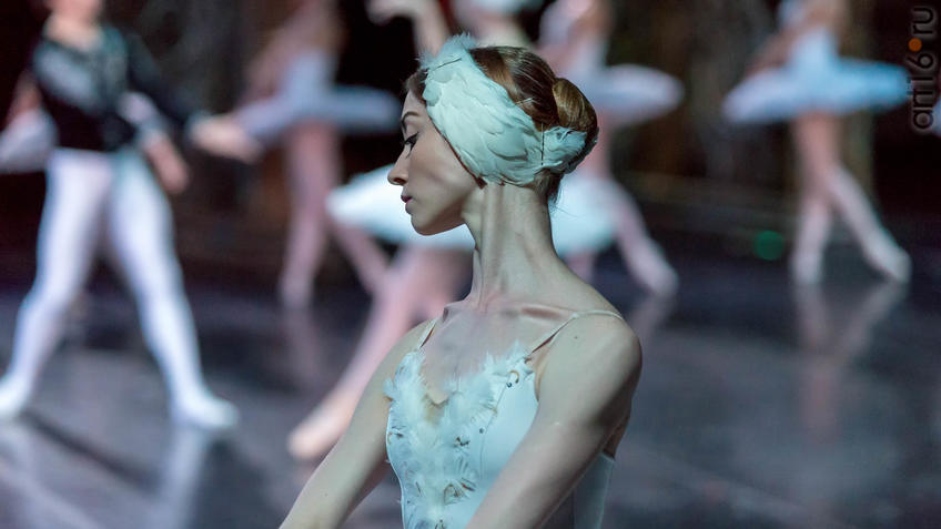 Фото №941703. Art16.ru Photo archive