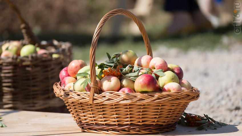 Фото №944229. Art16.ru Photo archive