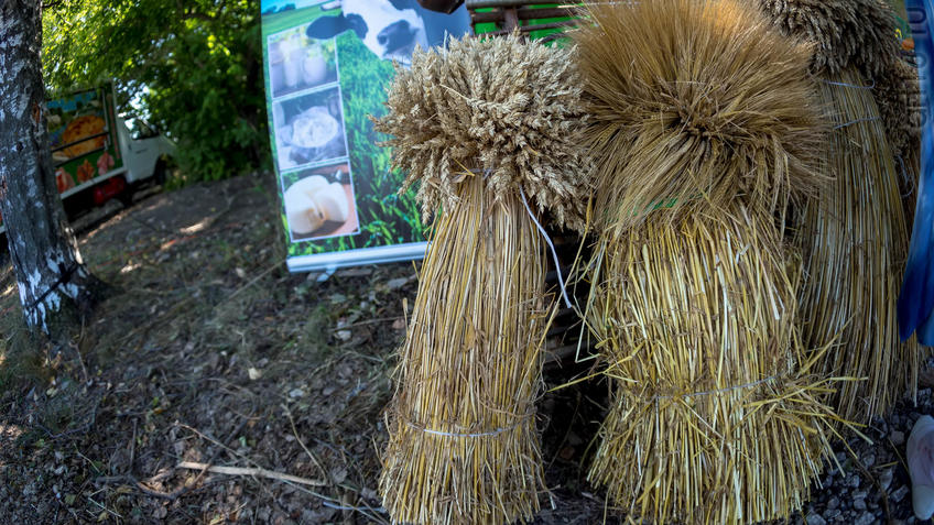 Фото №944519. Art16.ru Photo archive