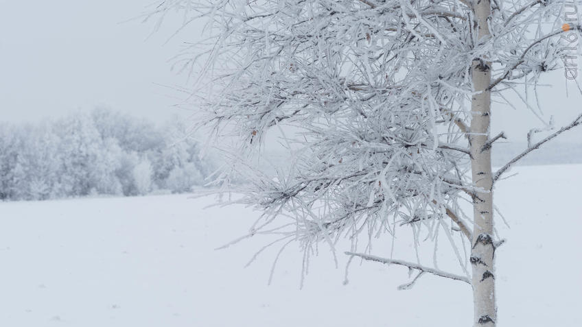 Фото №950967. Art16.ru Photo archive