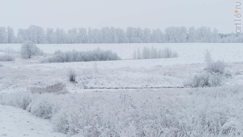 Фото №950978. Art16.ru Photo archive