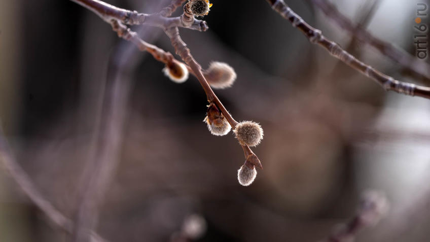 Фото №956298. Art16.ru Photo archive