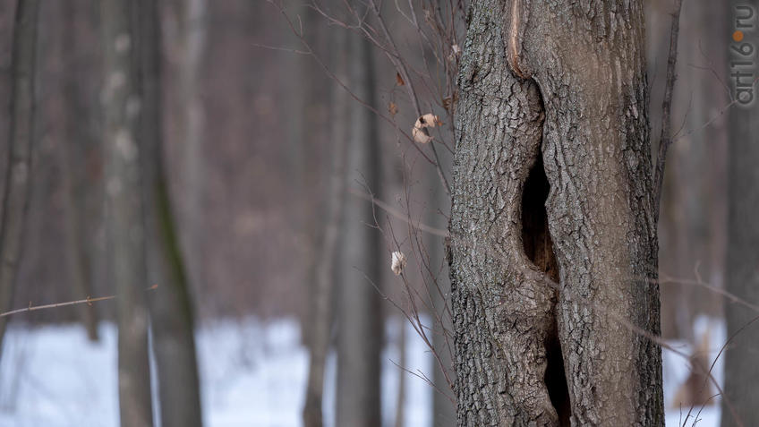 Фото №956308. Art16.ru Photo archive