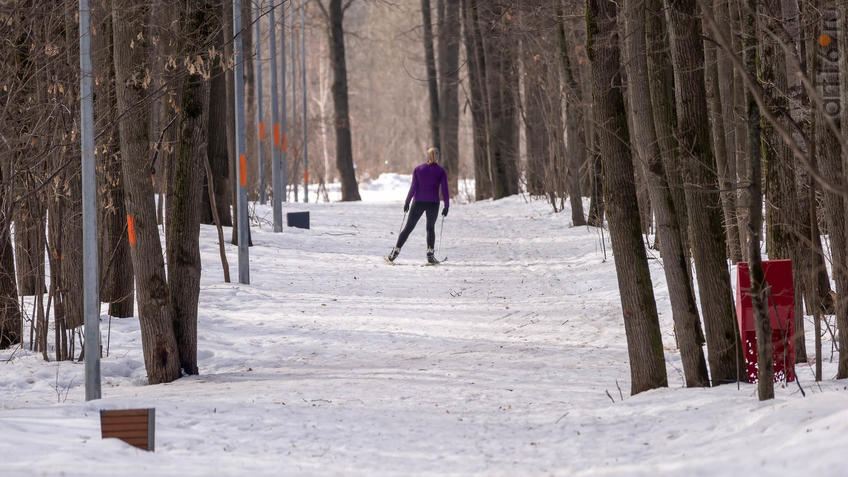 Фото №956323. Art16.ru Photo archive