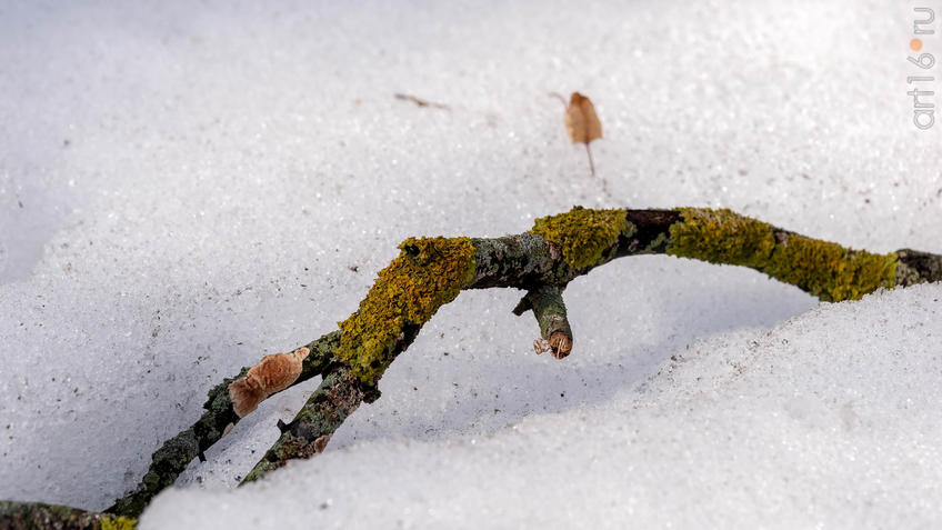 Фото №956343. Art16.ru Photo archive