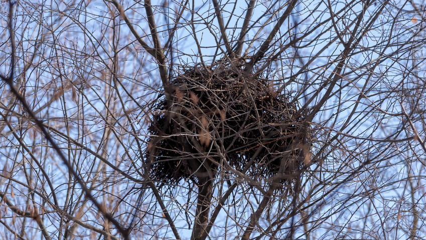 Фото №956363. Art16.ru Photo archive