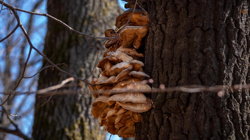 Фото №956926. Art16.ru Photo archive