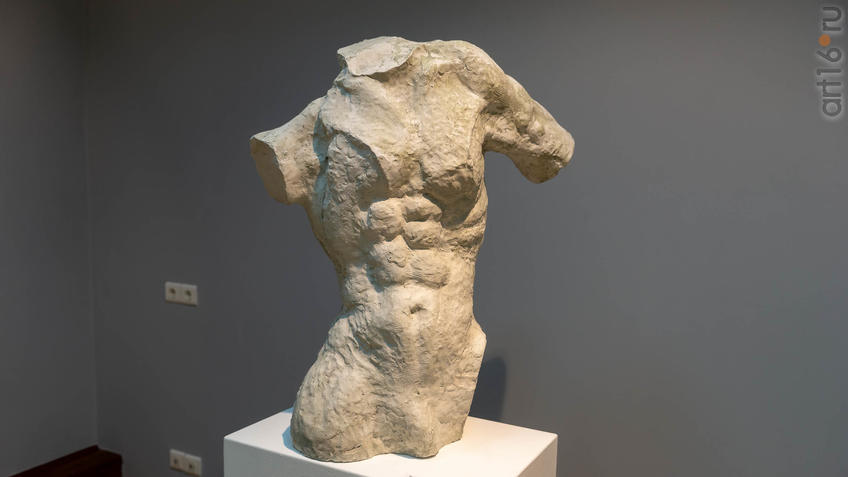 Фото №960880. Торс. Сабиров Альфиз