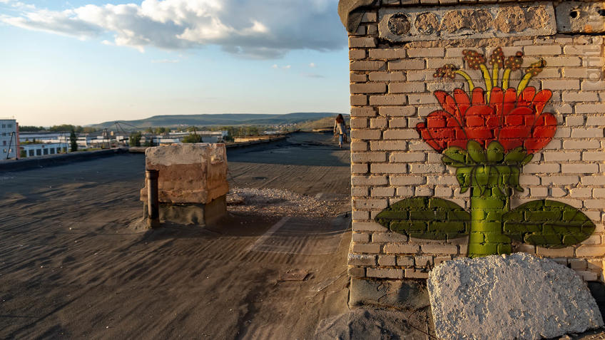 Фото №961554. На крыше