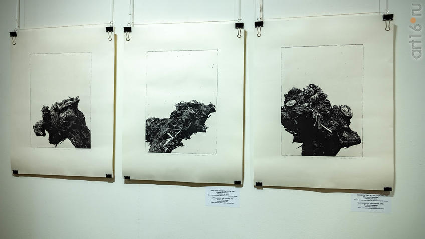 Фото №962247. Тишина I, II. 2015. Анн-Кристин Кэльстрём. 1958. Швеция, Стокгольм