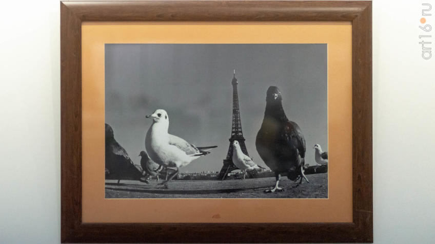 Фото №964121. Фотовыставка «Казань-Париж». Фарит Губаев