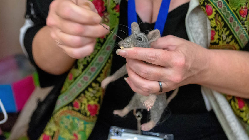 Фото №964276. Обновление мышонка. Марина Шубина за работой