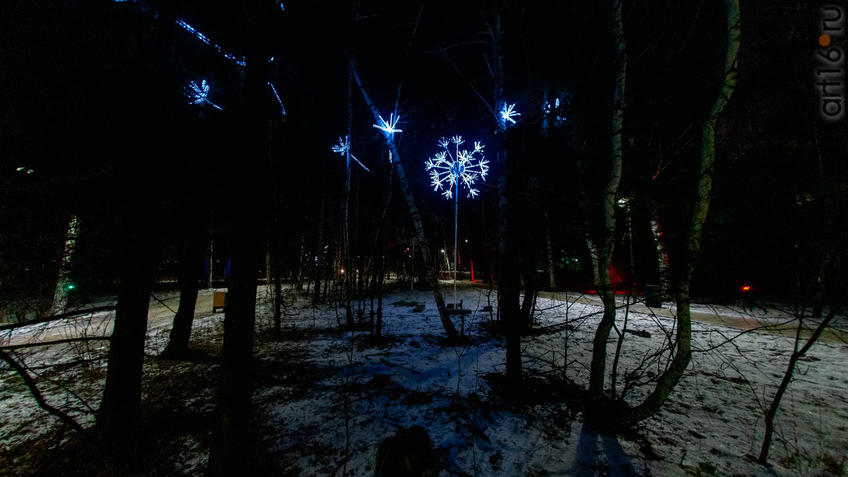 Фото №968032. Art16.ru Photo archive