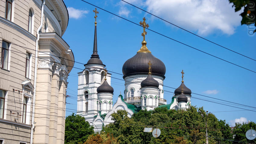 Фото №970673. Купола Благовещенского кафедрального собора (Пр. Революции, 14в)