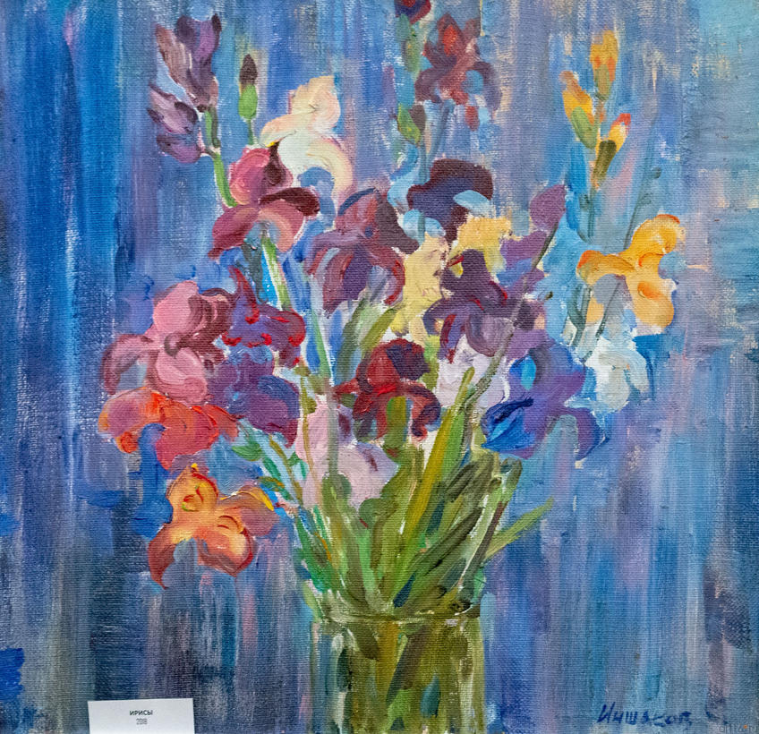 Фото №970891. Ирисы. 2018. Иншаков А.Ф.