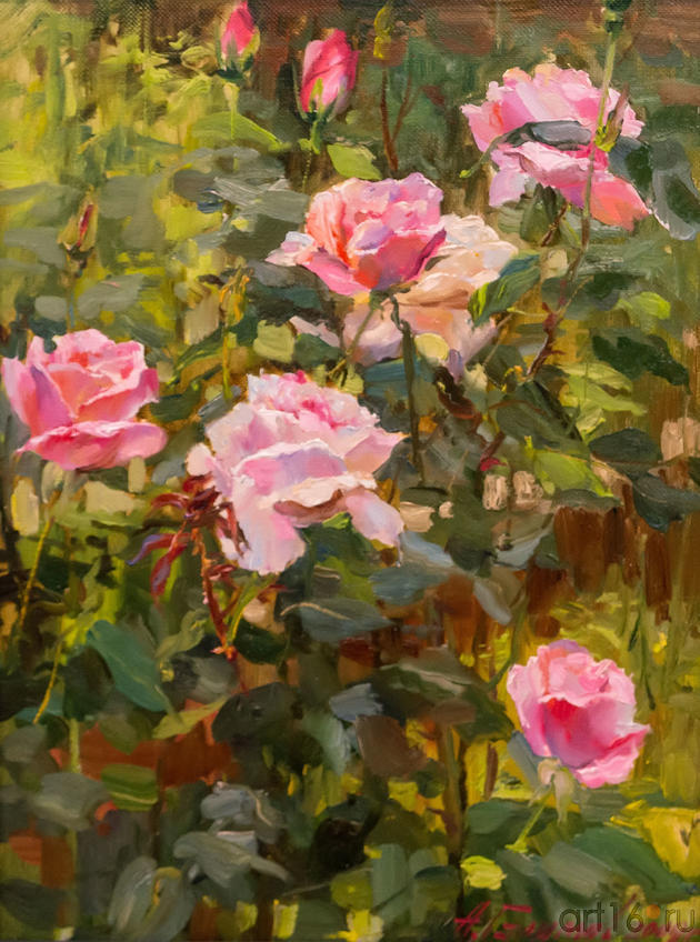 Фото №979282. Розовый сад. 2009. Азат Галимов
