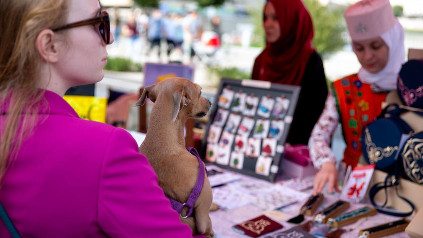 Фото №980077. Art16.ru Photo archive