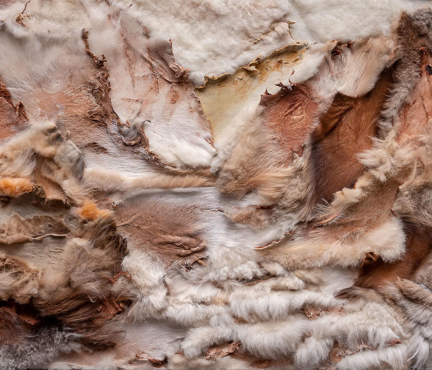 Фото №981834. Горный поток. 1998. Елена Шмелёва