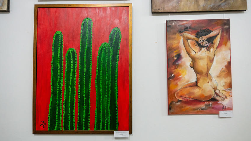 Фото №982080. Кактусы. 2019. Давид Майсурадзе /Грация. Альбина Колесова