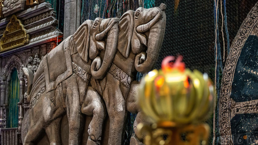 Фото №984995. Art16.ru Photo archive