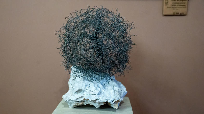 Фото №988163. Путаница мыслей. 2018. Адель Халиуллин