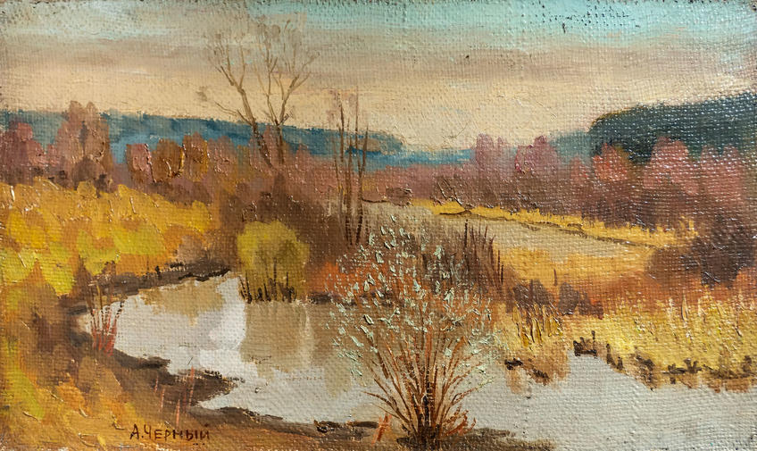 Фото №989230. Верба (разлив). 2005. Александр Чёрный