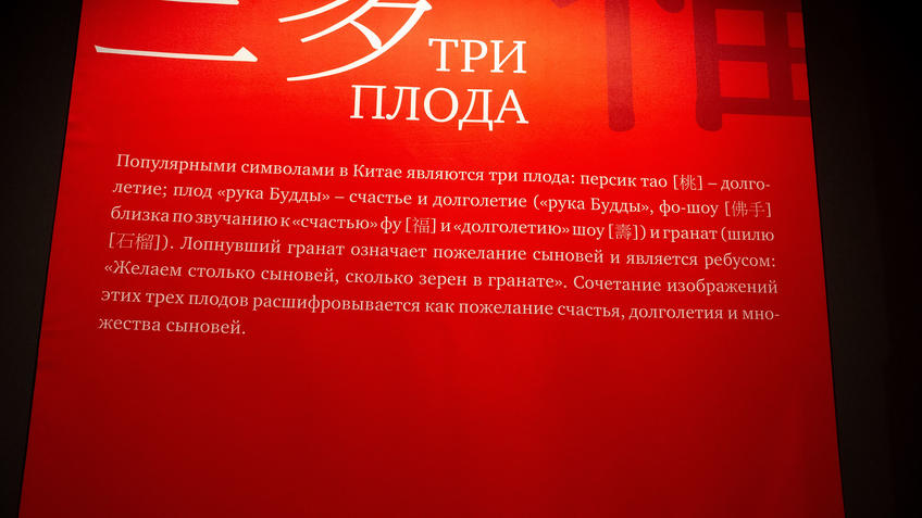 Фото №990041. Три плода - информационный банер