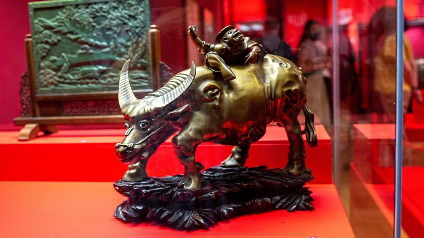 Фото №990181. Мальчик, сидящий на буйволе