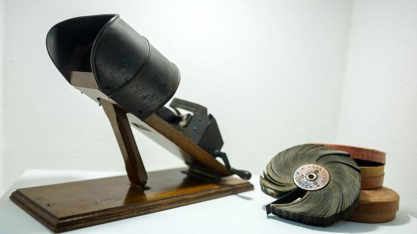 Фото №991921. Кинора