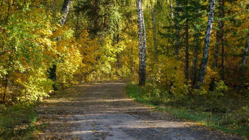 Фото №992539. Art16.ru Photo archive